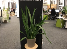 All inclusive - Untermiete in großem Open-Space Büro in Bürogemeinschaft - Provisionsfrei