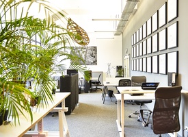 Coworking Space Hot desk